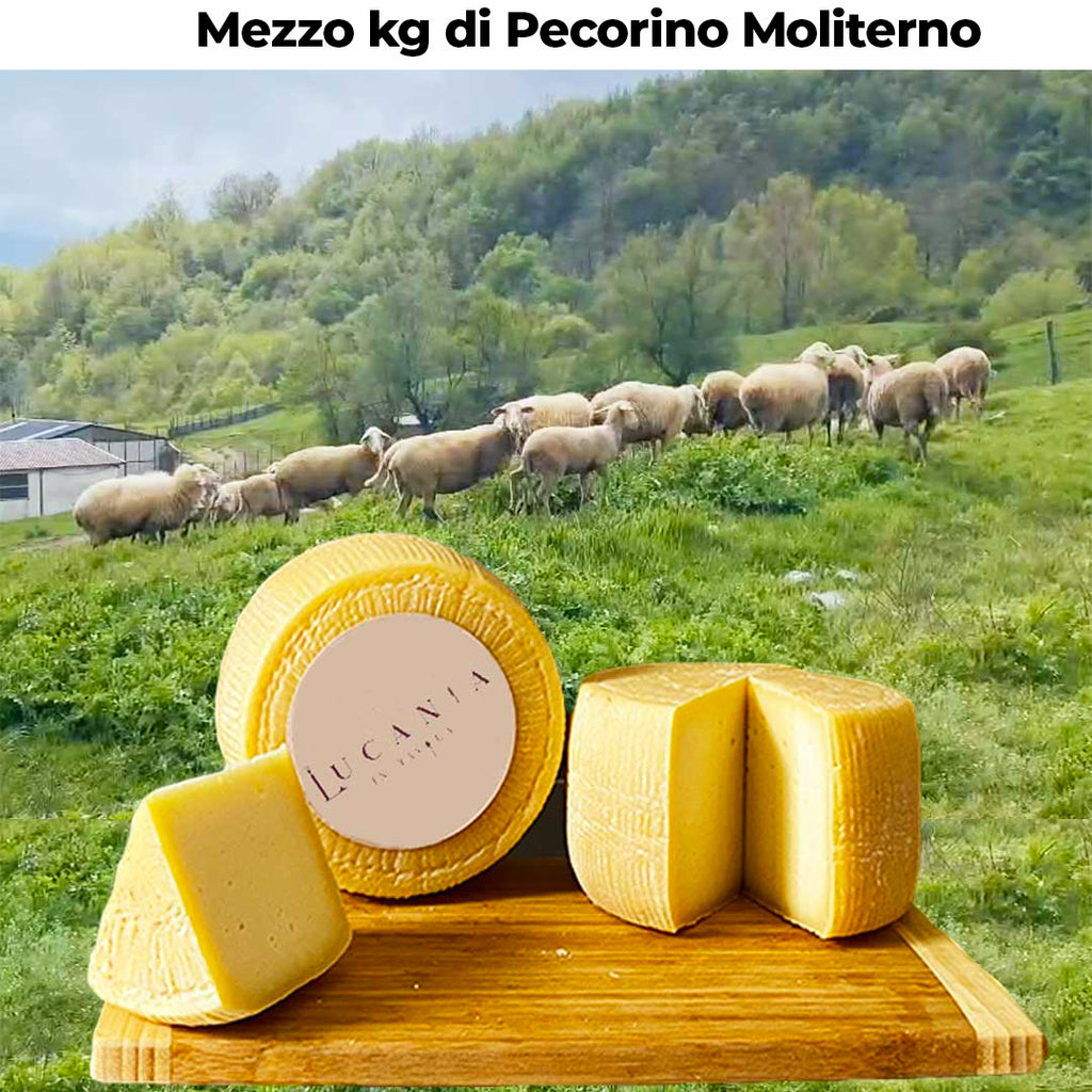 Degustazione Sapori Lucani